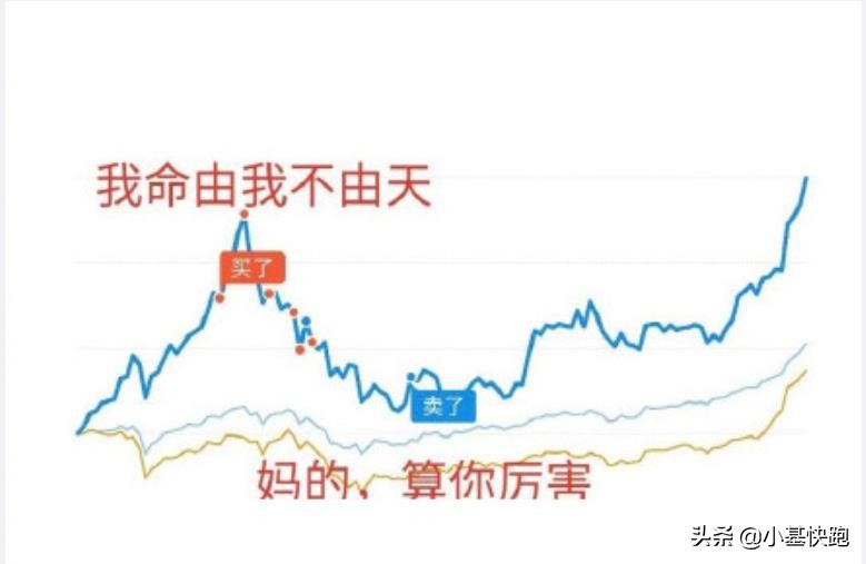 今天股市大跌搞笑段子视频,关于近期股市暴跌的段子