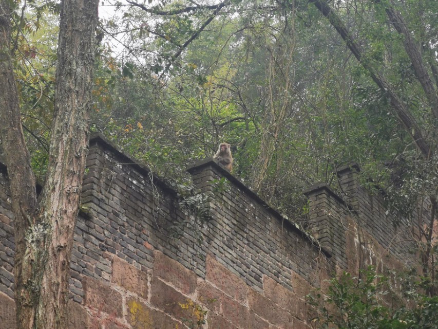 江东旅游景点推荐攻略,重庆温泉之都统景温泉