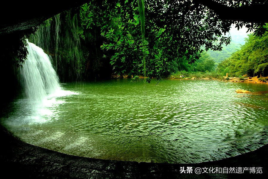 世界自然遗产赤水桫椤植物,赤水世界文化遗产