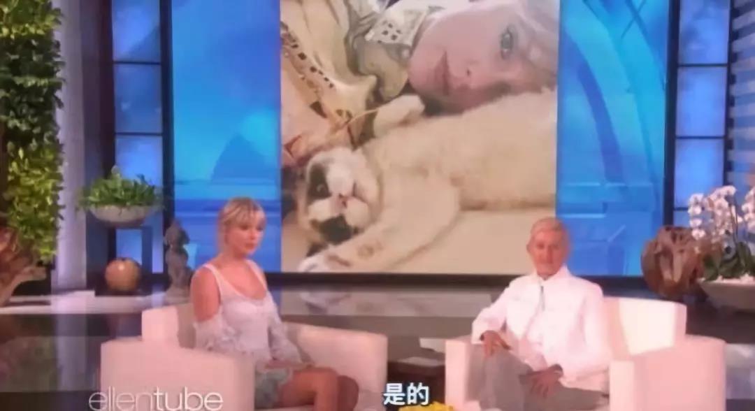 「JALOUSE」有一说一，我确实馋他们的身子