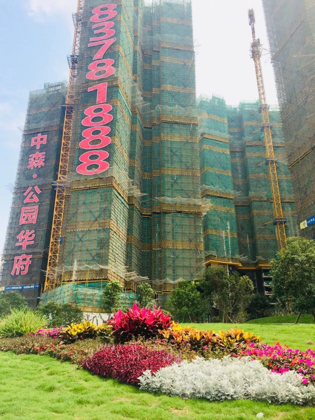 万科公园里6栋115平01户型,万科公园里一期106平户型图