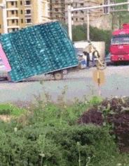 做冻品能赚冻品以外的钱吗,做冻品生意的有钱吗