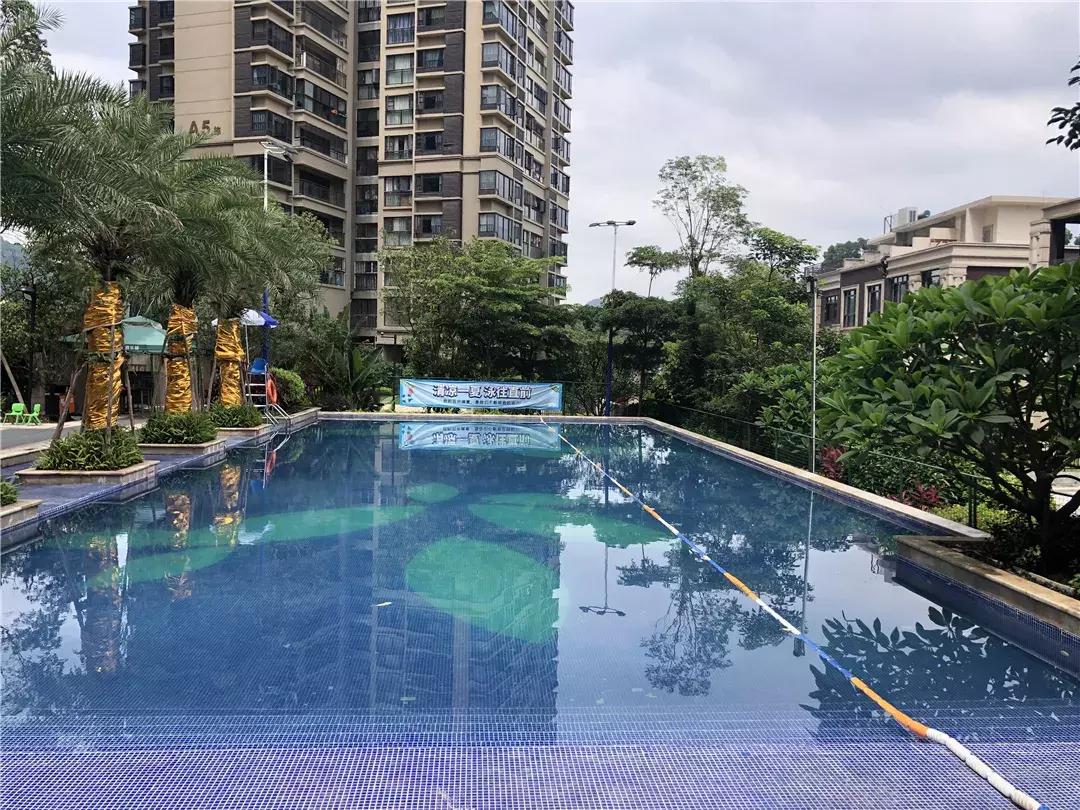 广州十大游泳池,黄埔游泳池有哪些