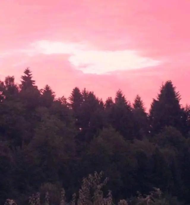 夜晚发圈有深度的句子,发圈阳光的句子