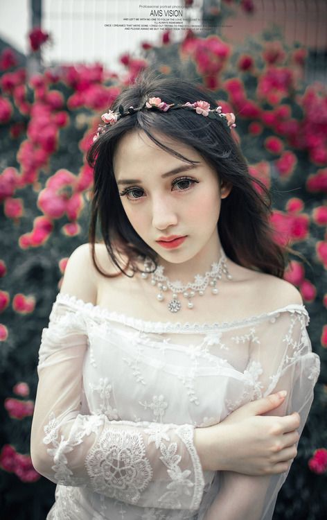 那年,那些喵,那些事