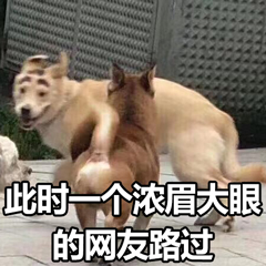 灏忕背娣卞緱浜哄績,娣卞緱姘戝績灏忕背