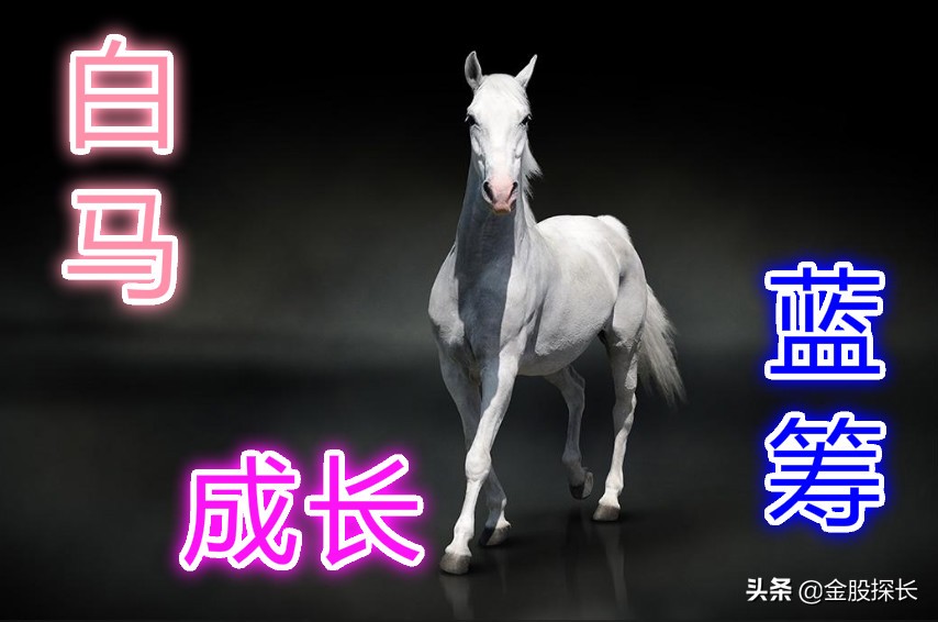 权重蓝筹白马股怎么区分,白马股价值股成长值的区别