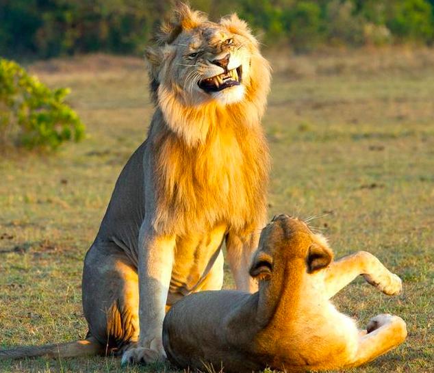 人类不可思议的冷知识,人类身上的有趣冷知识