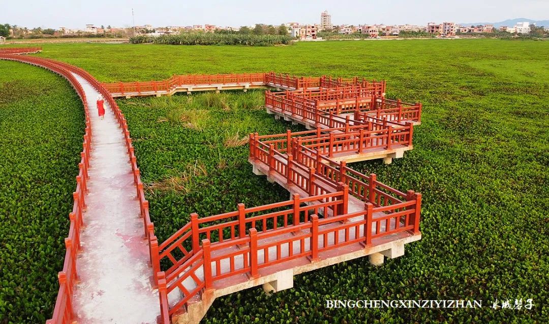 乐东九所海边康养基地,海南乐东九所景和家园