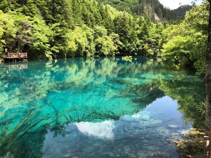 九寨沟景色恢复了吗,九寨沟震后重生