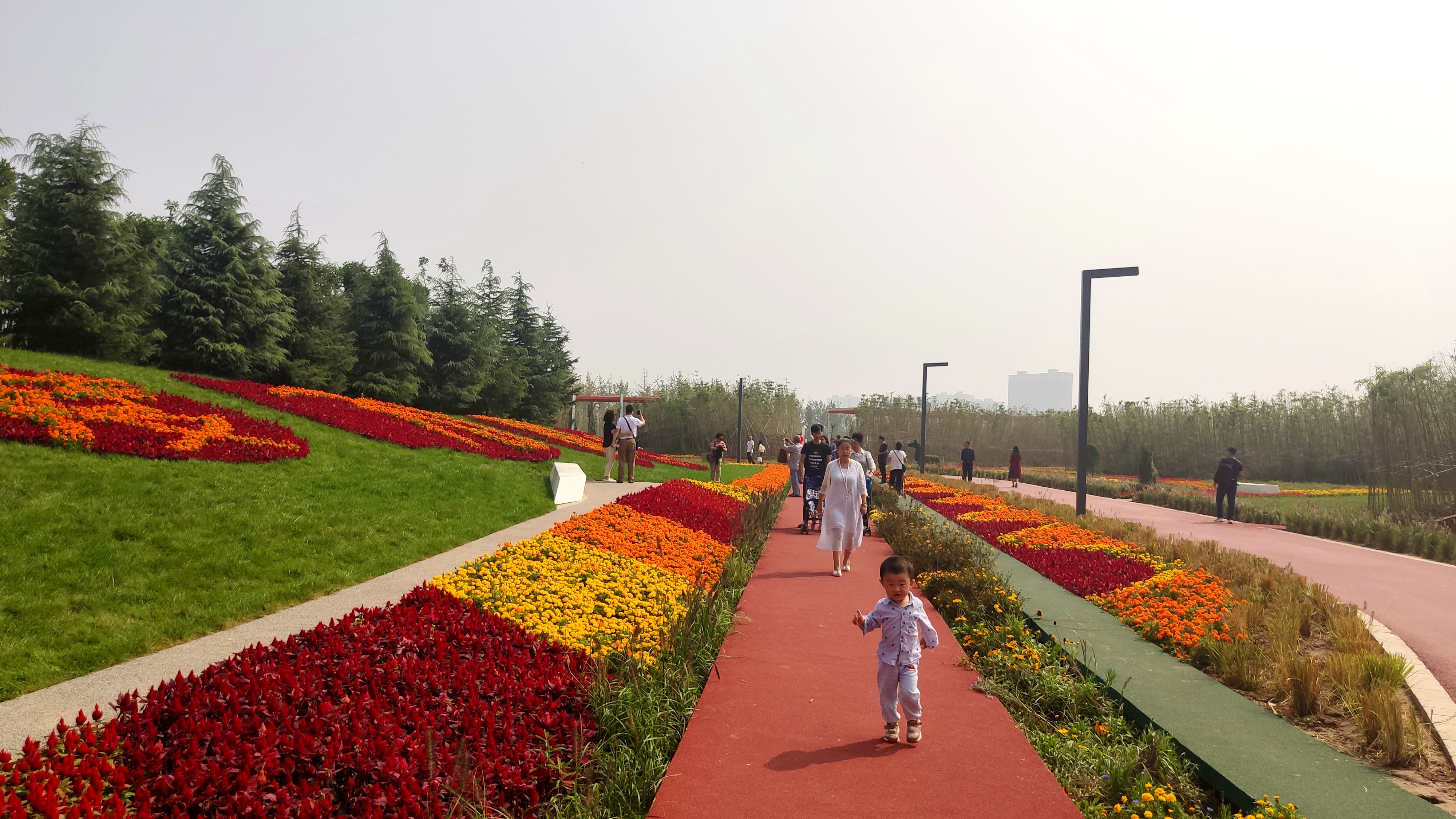 家门口的生态公园，西安最大的城市生态公园开园了