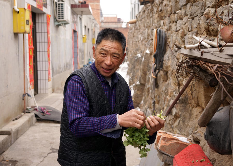 乡村采风纪实,乡村采风作品