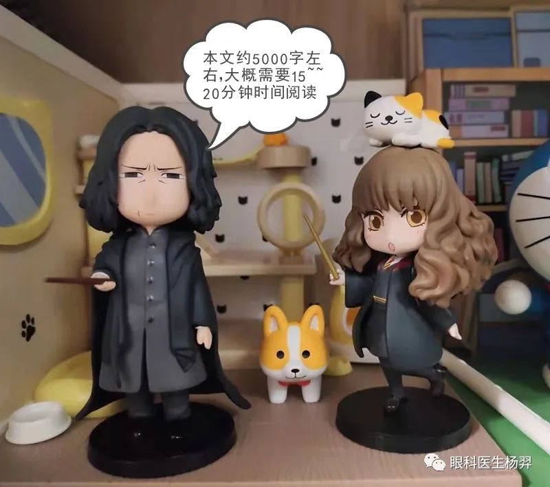 户外活动为什么能防控近视,户外活动防控近视背后的秘密