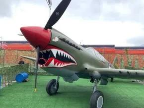 涓存矀铔熼緳鑸┖涓婚鍏洯,涓存矀鑸┖涓婚鍏洯