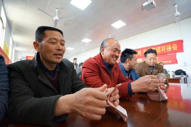 肥东县梁园镇水稻种植专业,肥东水稻种植