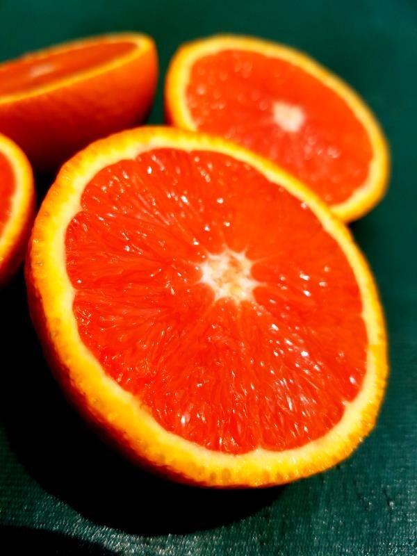 秭归一年四季都有哪些橙子,秭归悬崖上的橙子