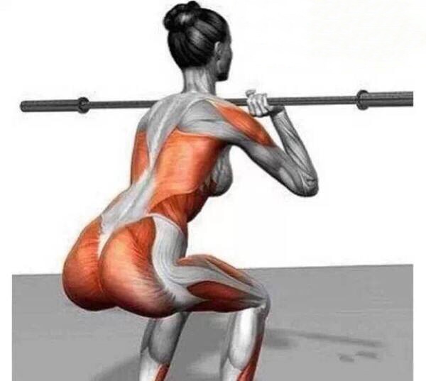 深蹲后头晕恶心想吐是怎么回事,深蹲练后吐是怎么回事