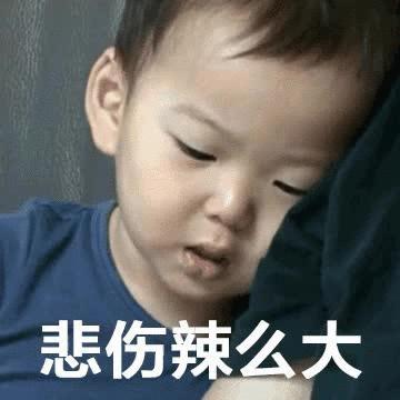 花了大价钱!去极地海洋馆玩买了这个……居然上不了9号线