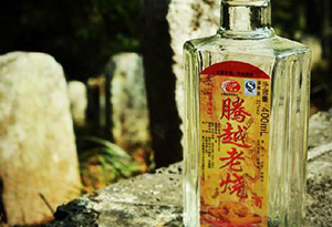 云南十大名酒松子酒,云南十大名酒