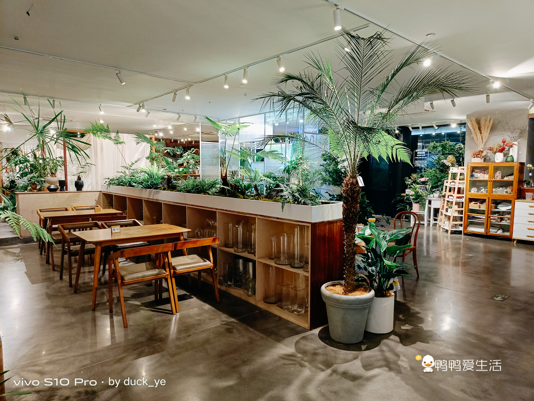 厦门华美空间藏一个绝美拍照地，误入仙境，可吃饭可拍照可看书