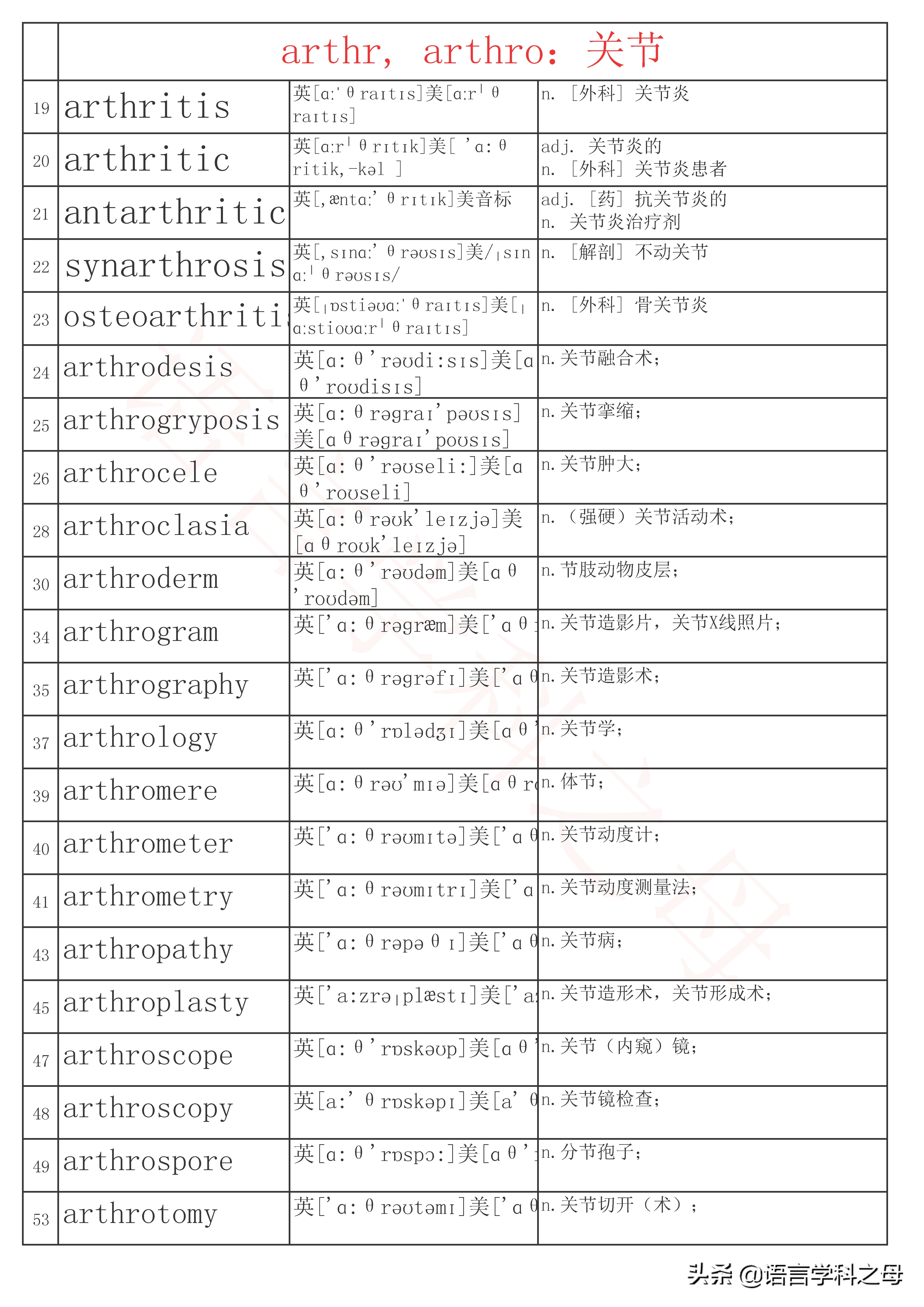 art的单词快速记忆法,art单词快速记忆