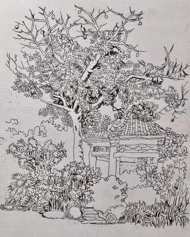 有个好外婆是什么体验,有外婆是一件很幸福的事