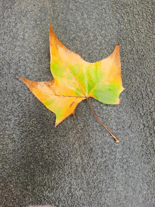 二手车商从收车到卖车整个流程,二手车商收车卖车一般赚几个点