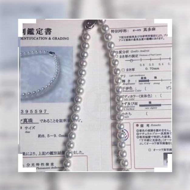 日本海水珍珠akoya等级,akoya珍珠日本官网