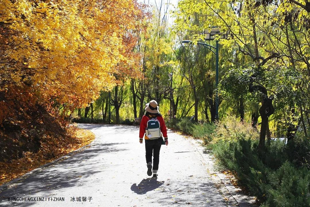 古北水镇司马台长城夜游几点开始,古北水镇旅游攻略司马台长城