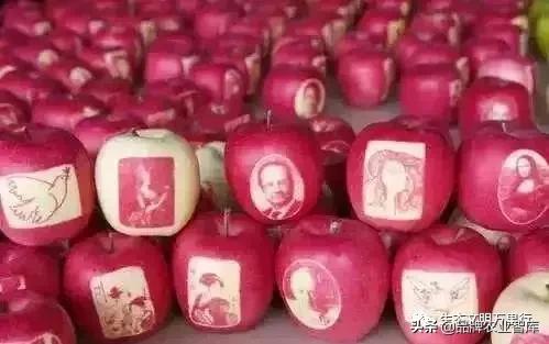 变态的日本农业:敬畏自然、超前思维、死磕单品!