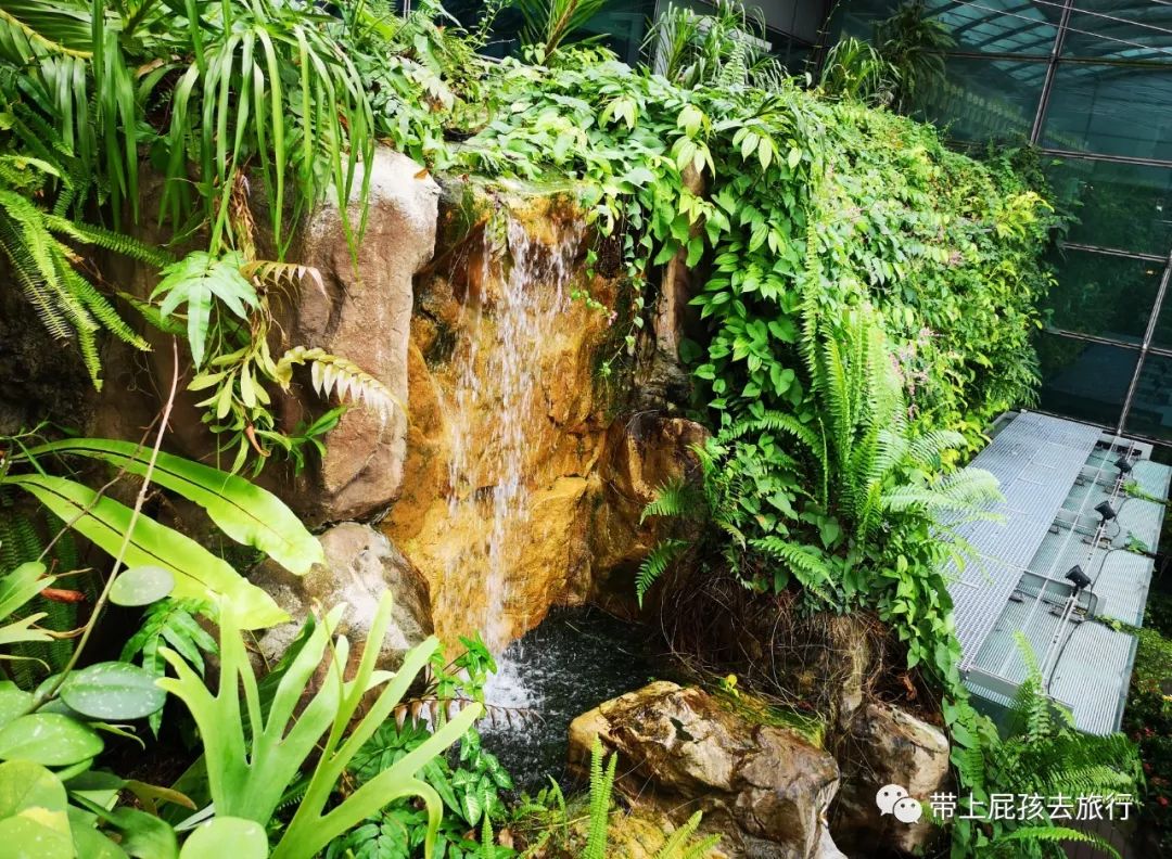 无旅行不暑假亲子游胜地新加坡,新加坡马来西亚亲子游春节