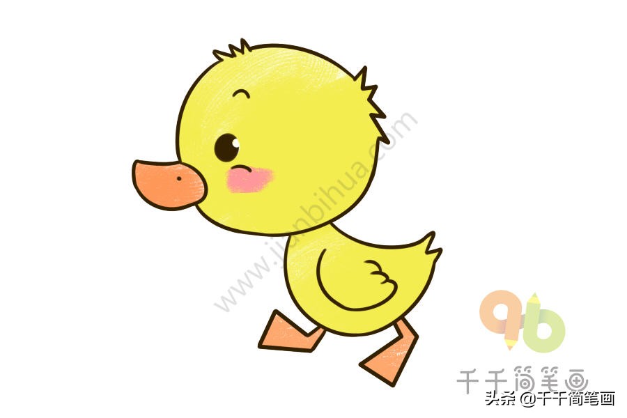 动物园里的动物简笔画简单又好看,各个国家的国宝动物小学生简笔画