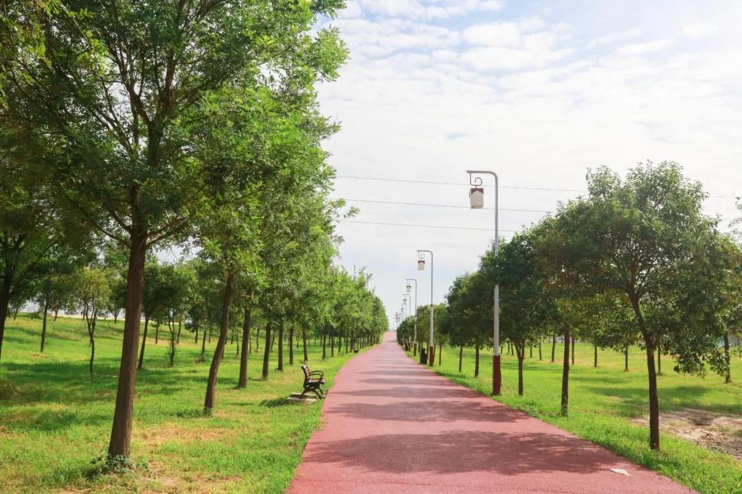 来咧！十四运的他们今天都来高新咧！