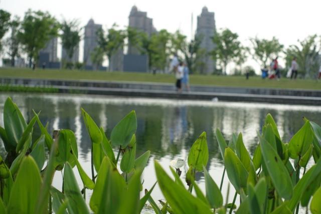 上海奉贤新城的亮点,奉贤南桥镇奉贤新城现状