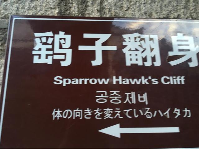 华山自驾最惊险的道路,华山最惊险的公路