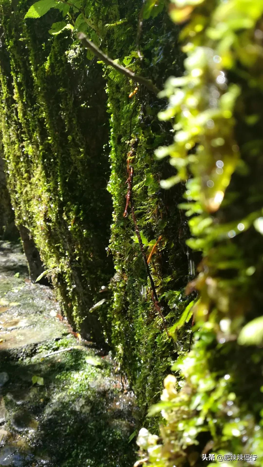 云南玉溪有多少极致风光,云南玉溪四季天气是否温暖