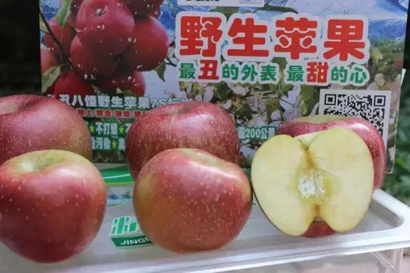 涓戣悓姘存灉,鏂版涓戣悓姘存灉