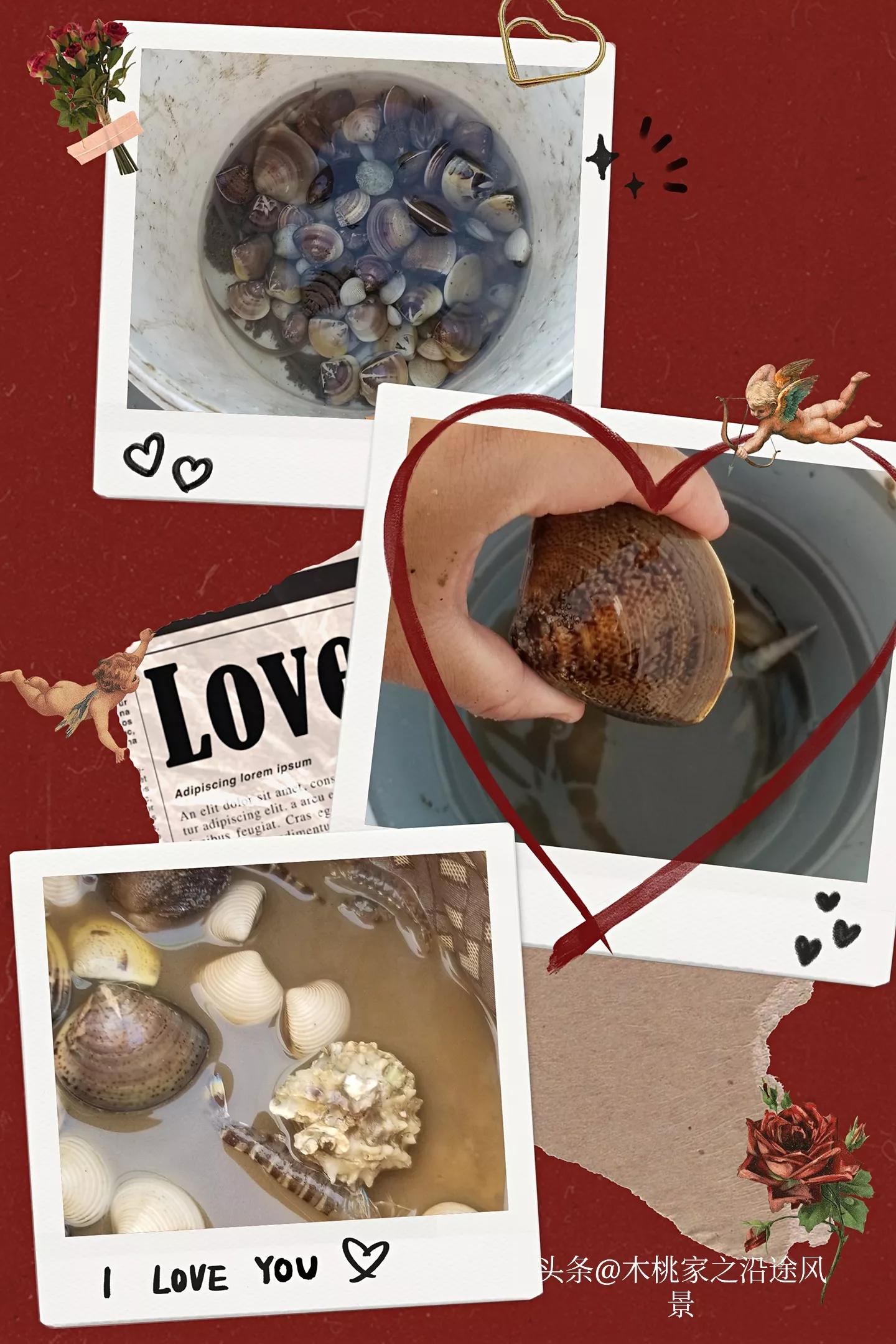 广东沙滩赶海去哪里,阳江东平镇沙滩赶海攻略