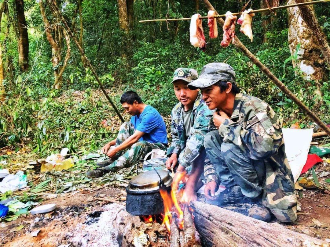 一群90后学霸，嚷嚷着要给它们找对象：自己单身不要紧