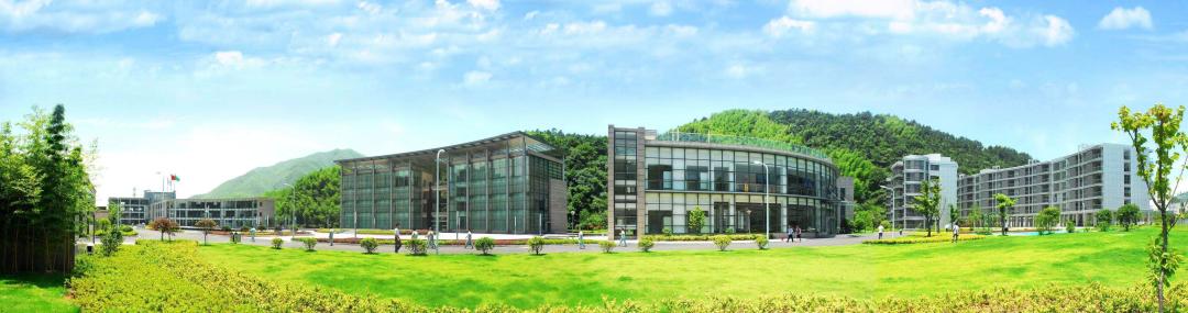 靠一双筷子，双枪集团如何做到了行业第一？