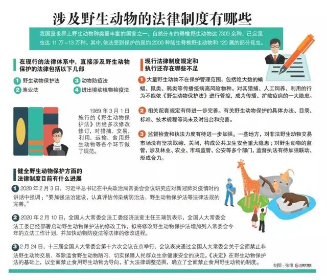 离野生动物远一点！检察机关出手，保护生物多样性