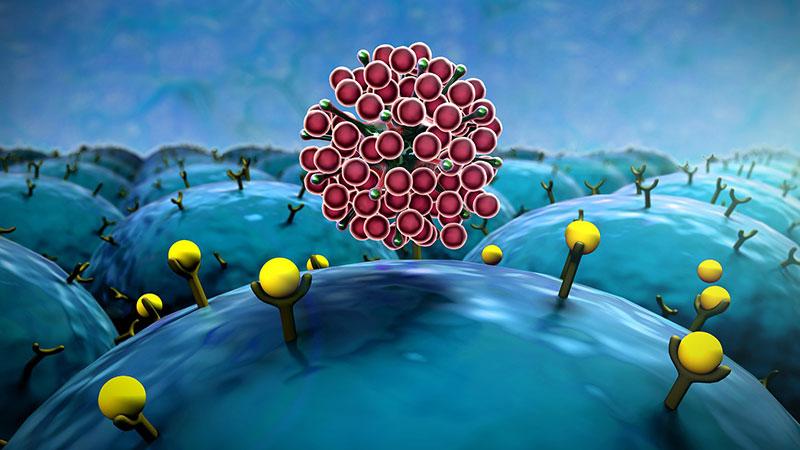 癌症疗效评估标准,国际癌症组织对癌症的建议