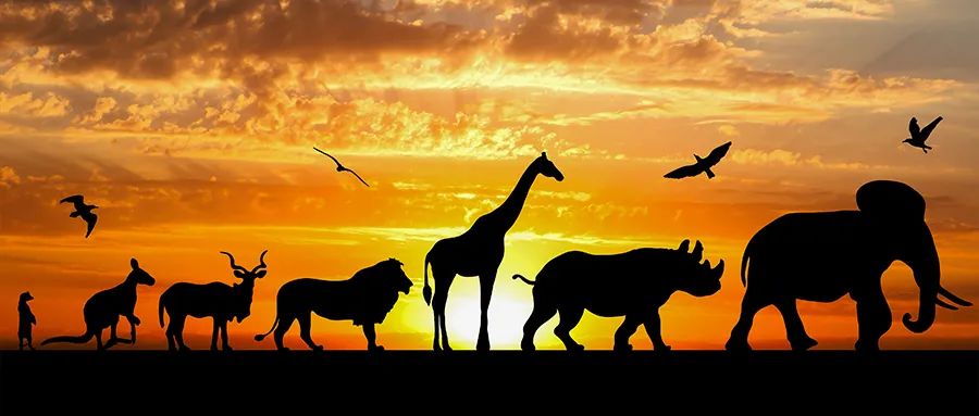 读道德经从负债到年入百万,赚钱的方法都在道德经里面