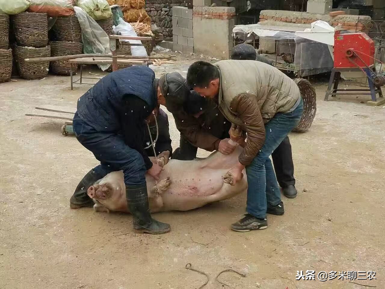 为什么现在的年轻人不喜欢串亲戚,年轻人回农村过年躲避亲戚