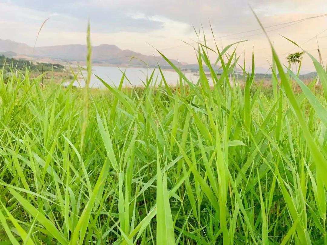 comeonbaby翻译,comeonbaby歌曲女声