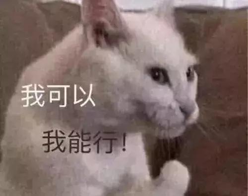 北影新生-孙绮复读重来，是坚持对动漫的爱好还是听家长的话？