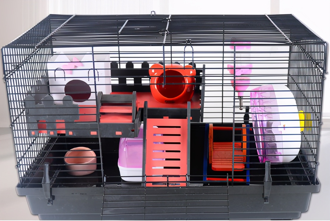 可爱的小仓鼠该怎么养呢,小仓鼠怎么养会又活泼又可爱呢