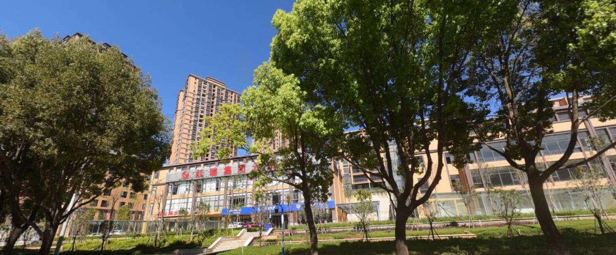 昆明一批房企破产重整,昆明倒闭房企