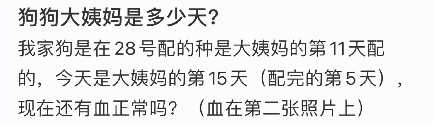 万万没想到被骗的这么惨，我们家猫怀了一肚子屎