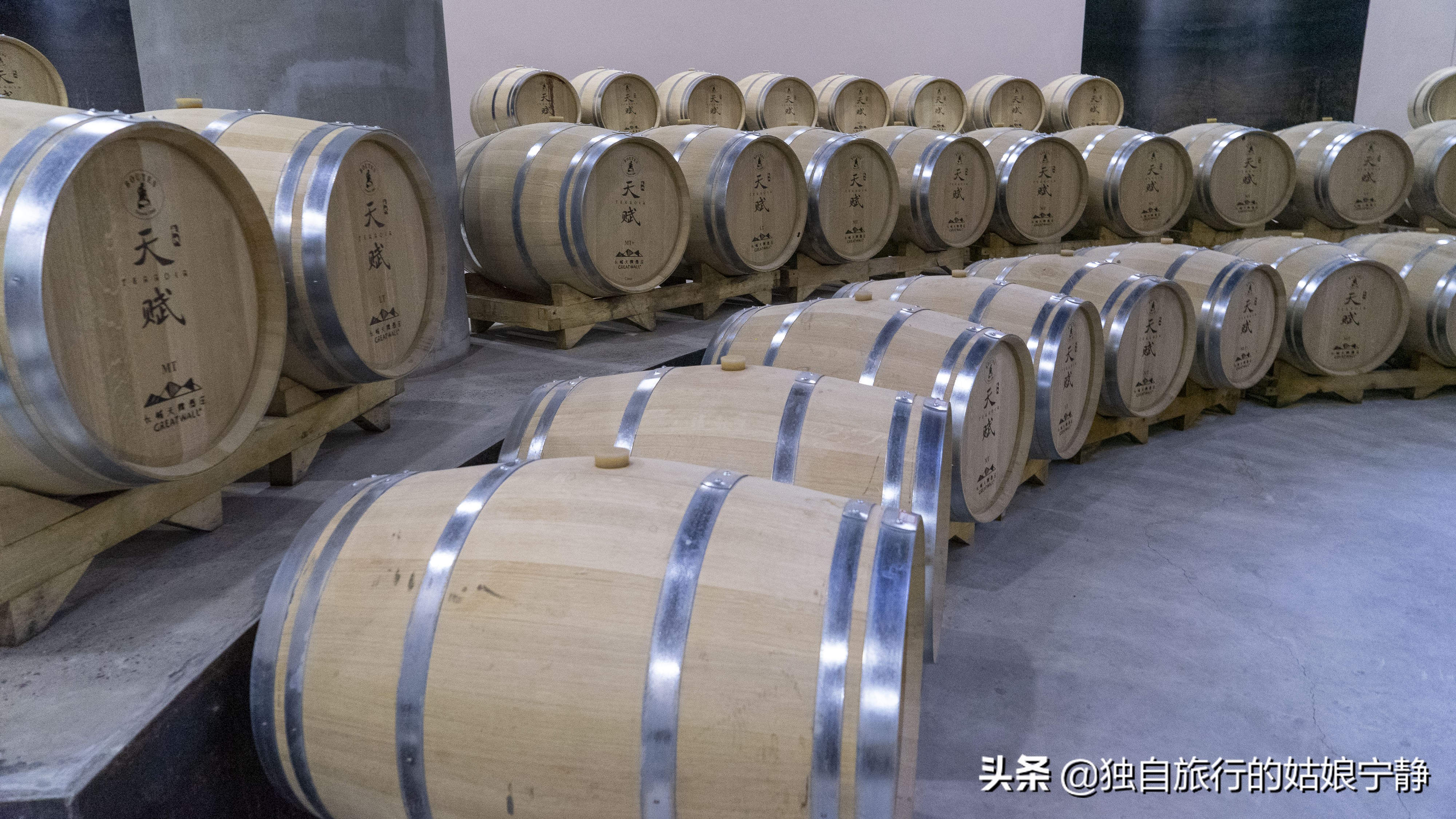 宁夏50大星级葡萄酒品牌酒庄排名,宁夏贺兰山东麓最佳葡萄酒排名